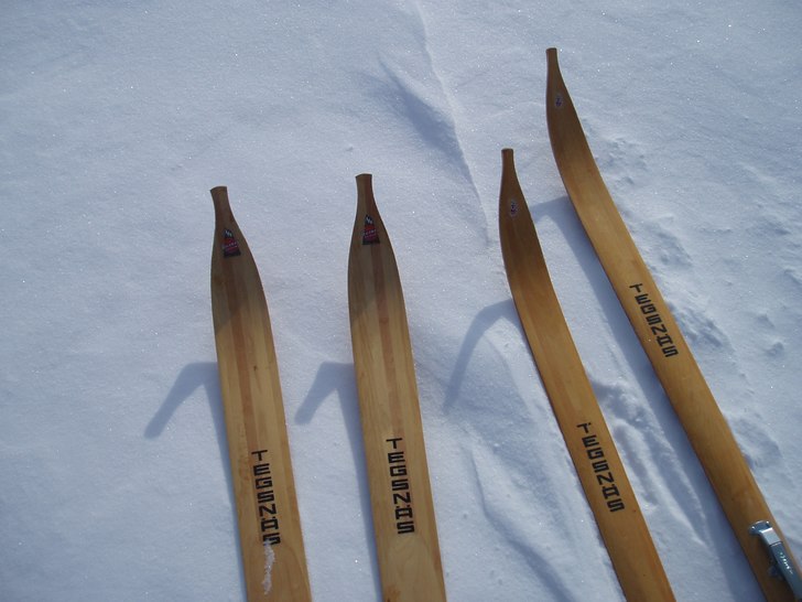 Tegsnäsarna behöver också rastas ibland...

F. Foto: Annica Forsberg. Åkare: Tegsnäs.