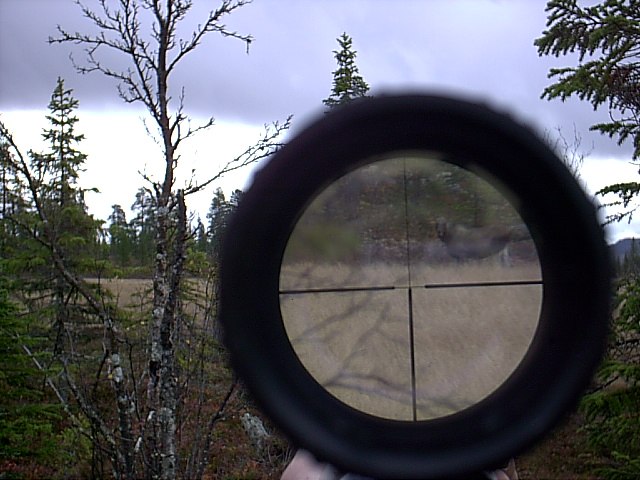 Foto: Petter Sjaggo.