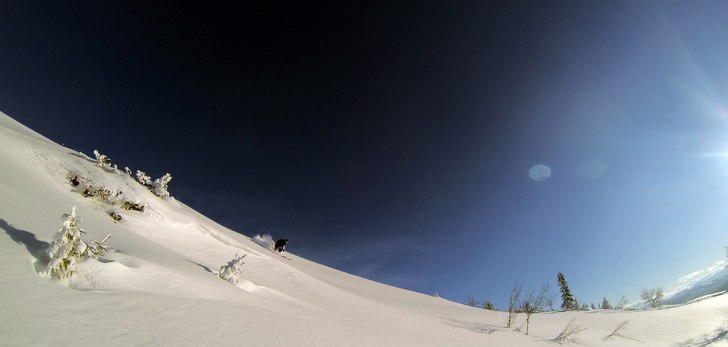 Foto: Henrik Hedlund.