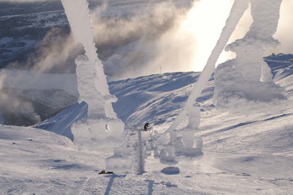 Foto: Kristoffer Olsson.