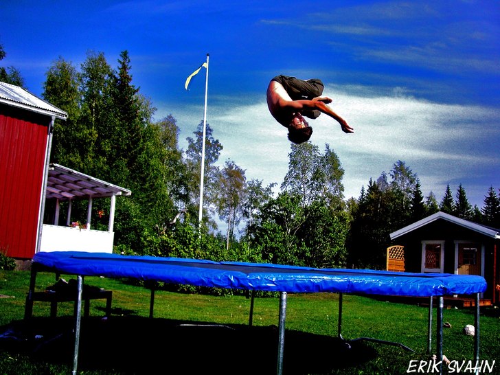 misty 900. Foto: Niklas Johansson. Åkare: Erik Svahn.