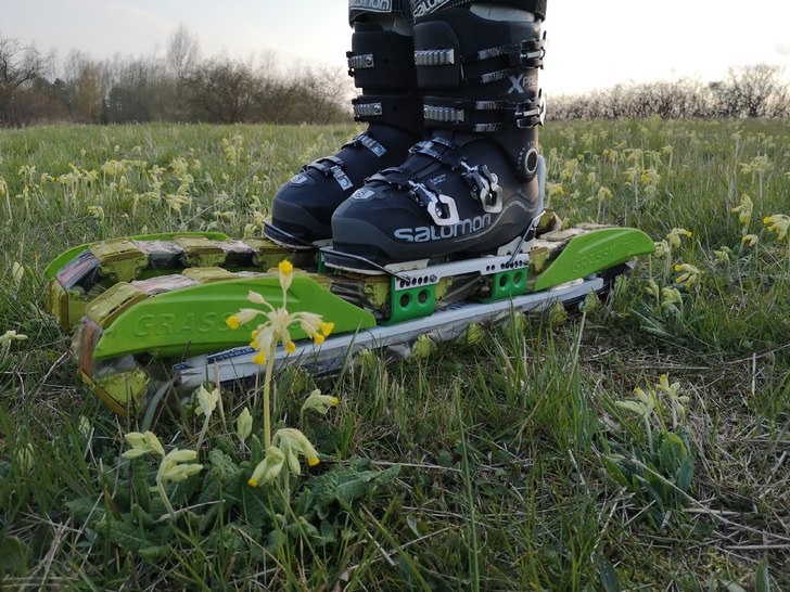 Coronasäker skidåkning bland gullvivor i Skåne .