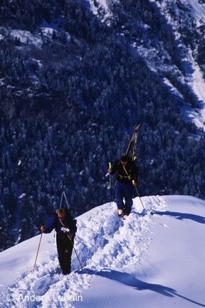 Foto: Anders Lundin. Åkare: Niclas Ferin & Fredrik Gustavsson.