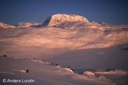Foto: Anders Lundin. Åkare: Helena Ljungman.