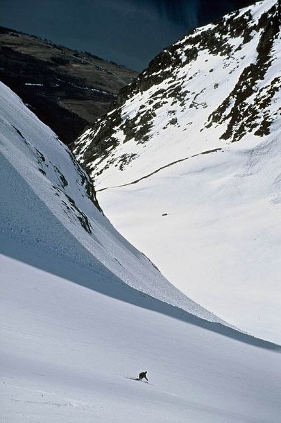 Foto: Fredrik Schenholm. Åkare: Anna Persson.