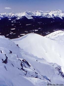 Foto: Stefan Brodén. Åkare: Steve.