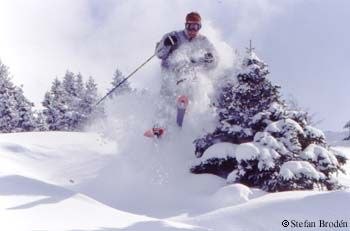 Foto: Stefan Brodén. Åkare: Kevin.