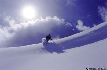 Foto: Stefan Brodén. Åkare: Kevin.