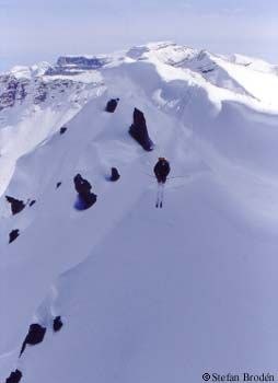 Foto: Stefan Brodén. Åkare: Loui.