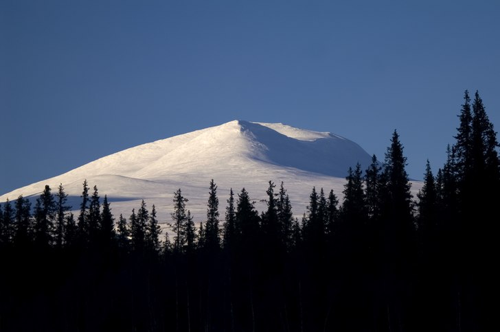 Foto: Patrik Brynielsson.