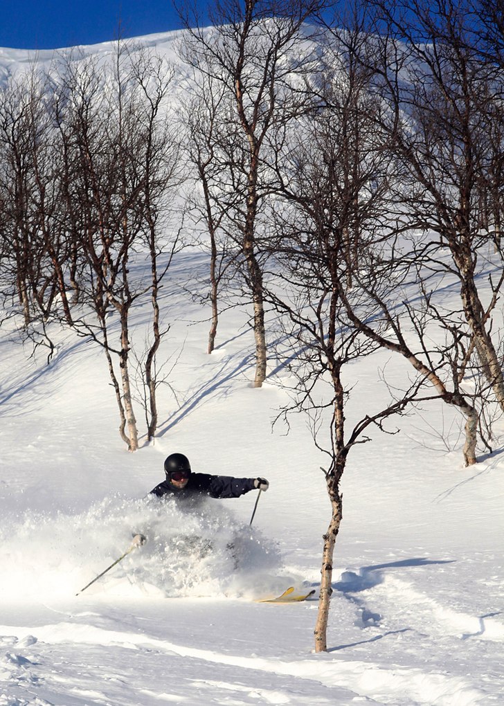 Foto: Joakim Jansson. Åkare: Joel Snickars.
