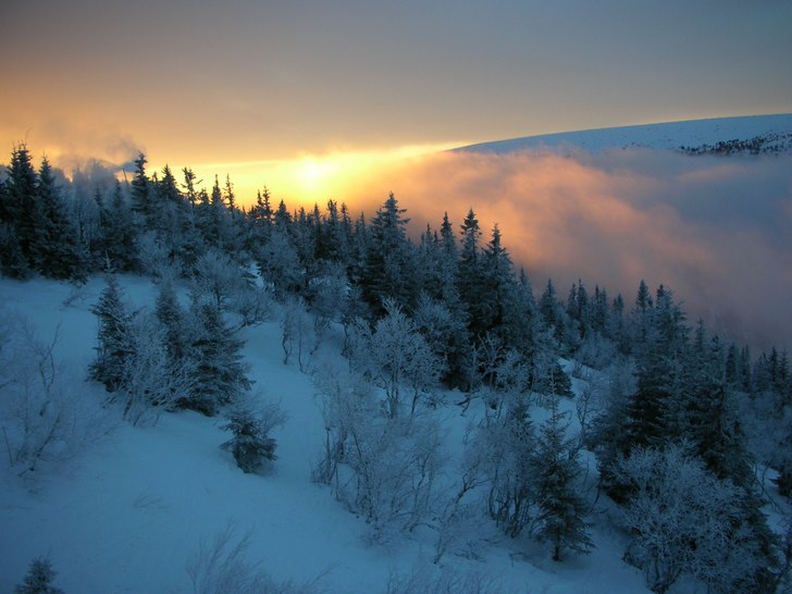 Morgonen dagen innan Julafton. Foto: Jenisis.