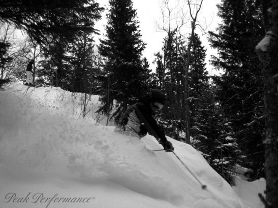 Foto: vetifan. Åkare: kristofer ståhl.