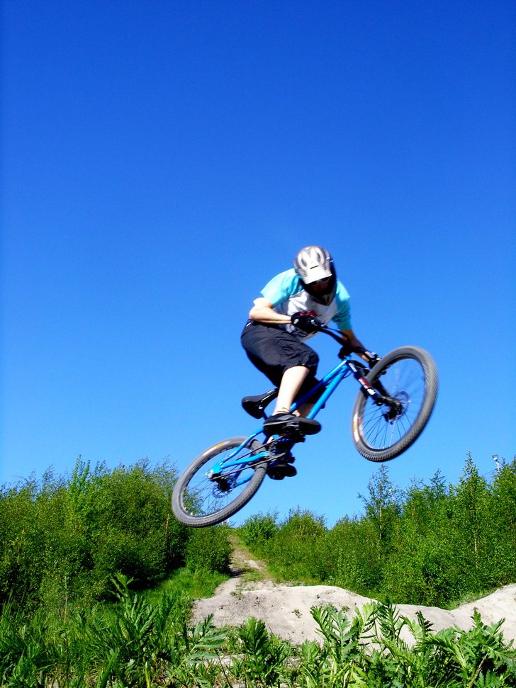 Whip!. Foto: Alexander Brännkärr. Åkare: Björn Yrjans.