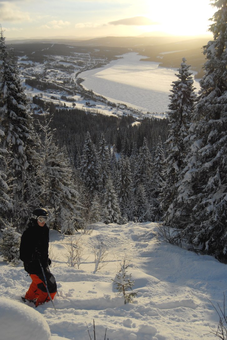 Foto: Trond Sørhuus. Åkare: Anders Sørhuus.