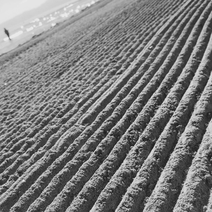 Everything is not what it looks like at first....