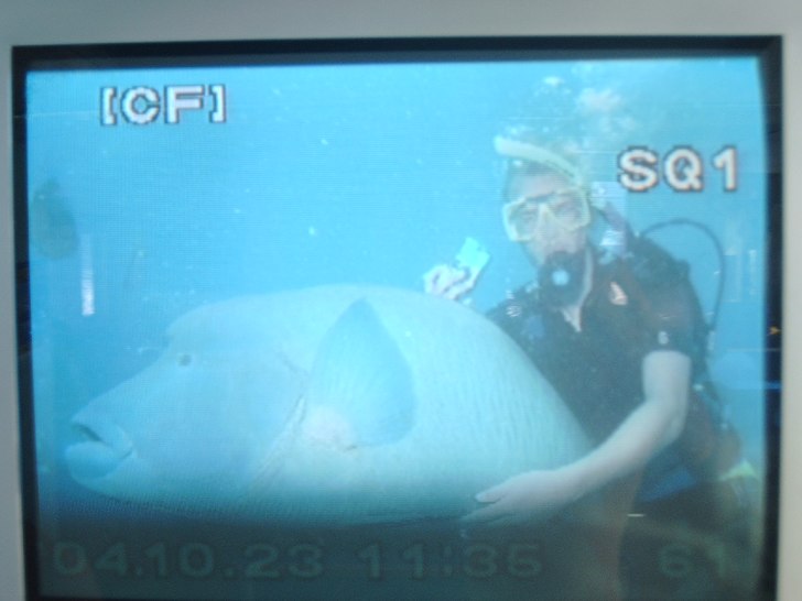 när jag var o dök på barriärrevet utanför Cai. Foto: Petter Claesson. Åkare: Anders Axelsson.