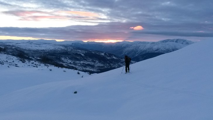 Morgontur i puder, November 2013.. Foto: Ola Alsterholm. Åkare: Johnny Skår.