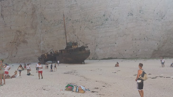 Disig bild på en Norsk polare (Gaute) som kollar . Foto: Samuel (MySelf).