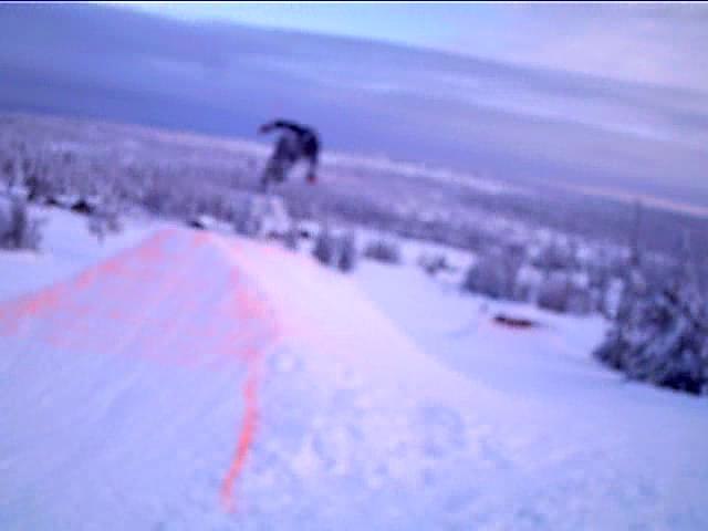 Hagen Does a 270:D. Foto: Ola Helmersen. Åkare: Jørgen Hagen (Hagenmeister).