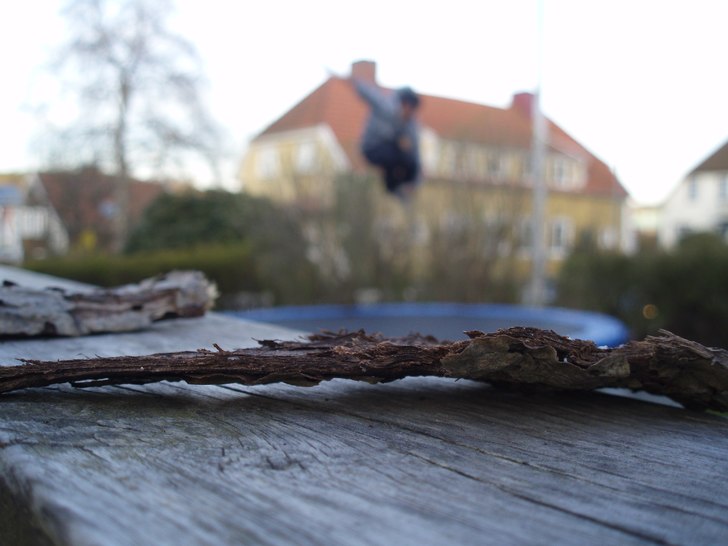 Skall man bygga en barkbåt eller ?? 720 mute... Foto: Jonatan Lindgren (auto). Åkare: Jonatan Lindgren.