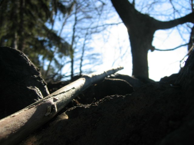 Vilket ni förmodligen ser är detta ingen vinterb. Foto: Niklas. Åkare: Pinnen.