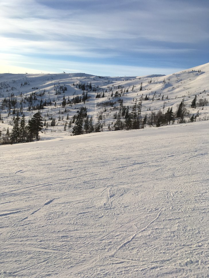 Ikke glem solbrillene i dag!!!????
.