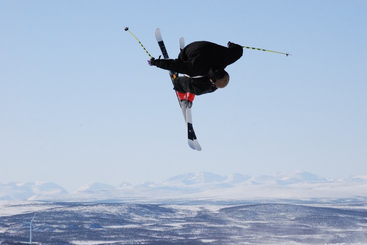 Bluebird i parken. Foto: Acke vig. Åkare: Jens Nilsson.