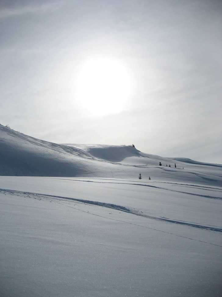 Foto: Sara Schützer.