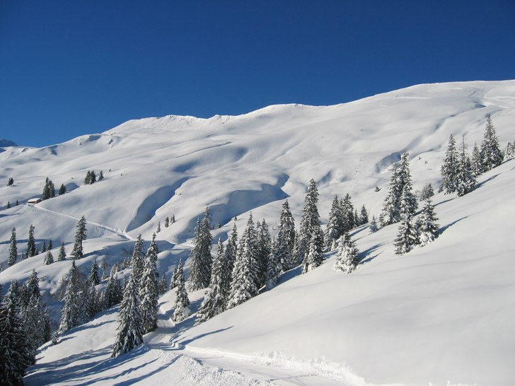 offpist repa . Foto: Alpbach. Åkare: Utsikt.