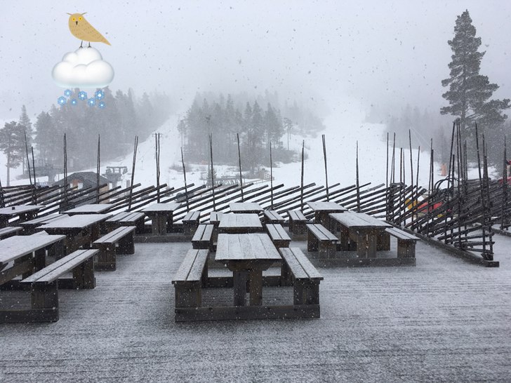 Påskesnø!!
Det snør på Nesfjellet og det er ak.