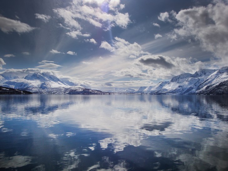 Foto: Fredric Landell.