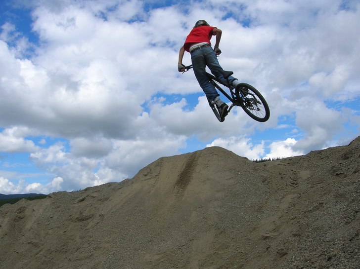 Whip. Foto: Dahlgren. Åkare: JEppe.