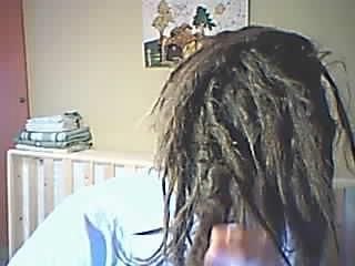 dreddidreddlydido. Foto: webcam.