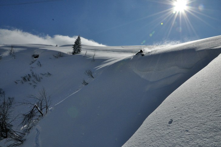 Foto: Axel Wall. Åkare: Gustav Fält.
