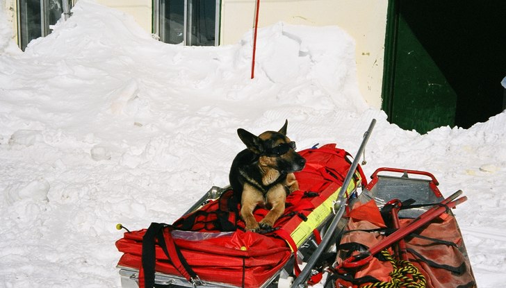 Ski Patrol dod - with sunglasses. . Foto: Adam Van den Bussche.