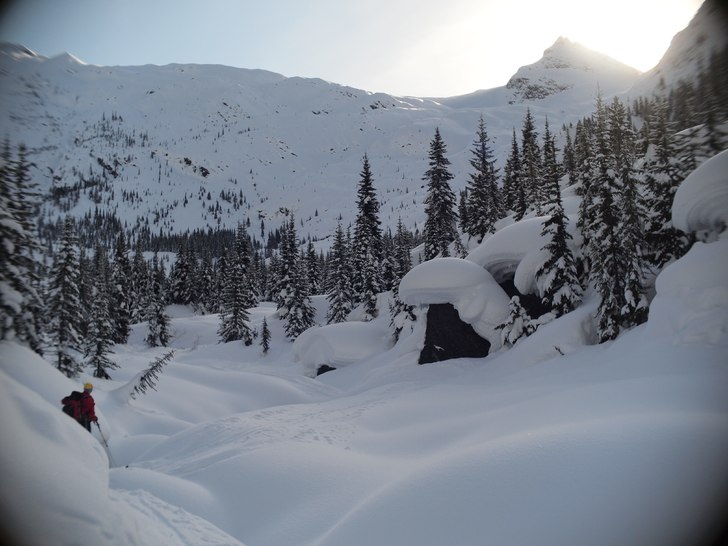 Foto: Jesper Petersén. Åkare: Tobias Andersson.