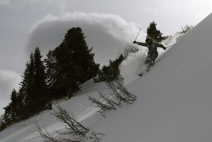 Foto: Tomas Pernek. Åkare: Maria D. Thorvik.
