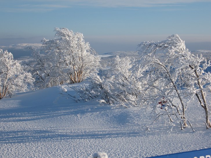Vinter.... Foto: Andreas Iggman.