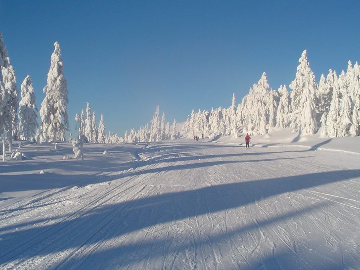 Voici pourquoi j'aime le ski!!!!. Foto: Michel Salomonsson. Åkare: Michel salomonsson.