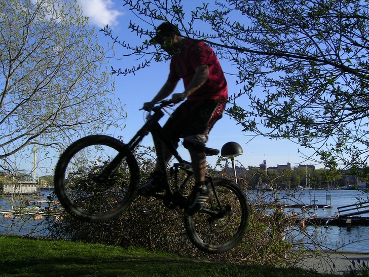 jadu vi tog en tur på hojen och ja det blev en bi. Foto: adam. Åkare: wolwerin.