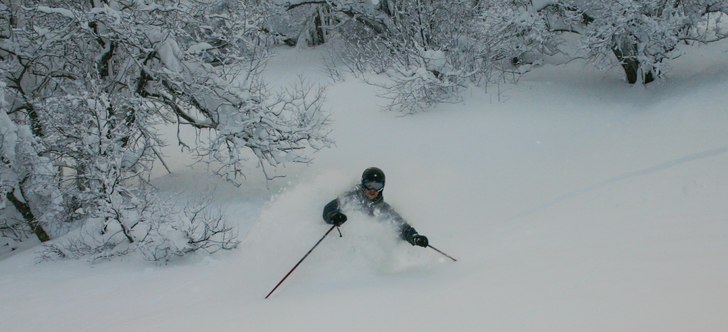 Foto: Rikard Larsson. Åkare: Johan Gottfridsson.