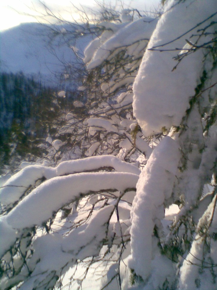 Snöfall i Vemdalen är aldrig fel!. Foto: Erik Rasmusson.