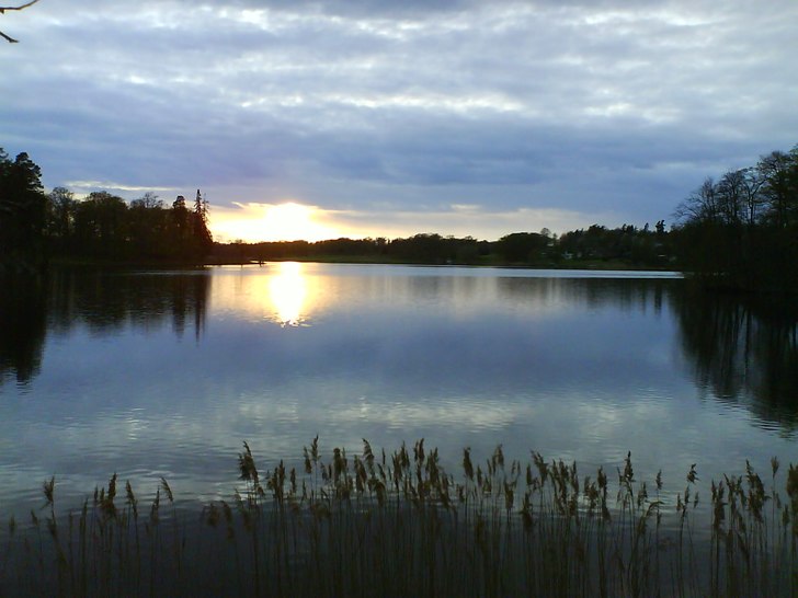en sommarkväll i Östergötland. Foto: Robin Eriksson.