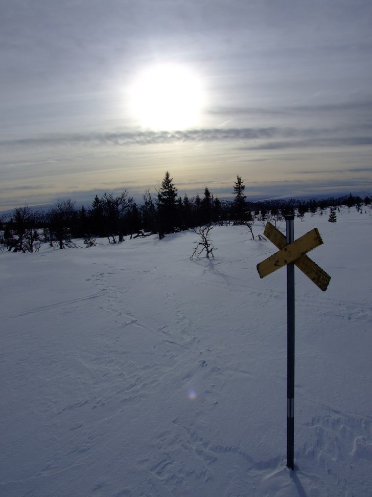 Foto: Niclas Jiseborn.