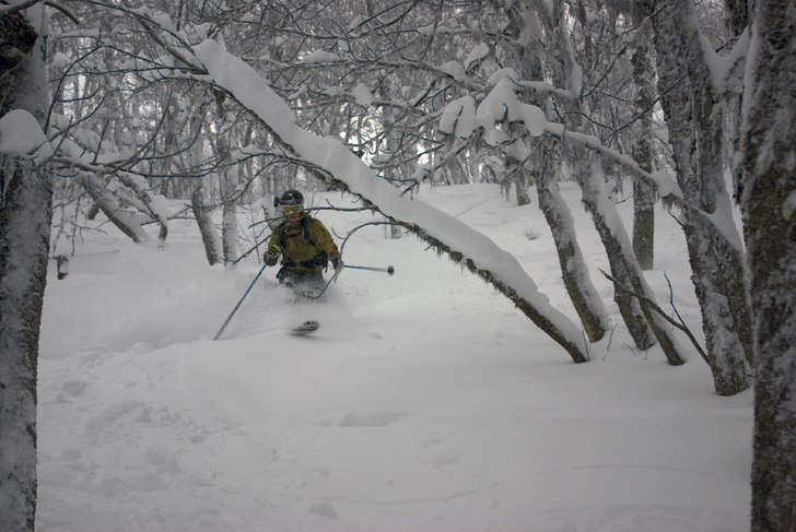 Foto: Janne Holmgren. Åkare: Erik Holmgren.