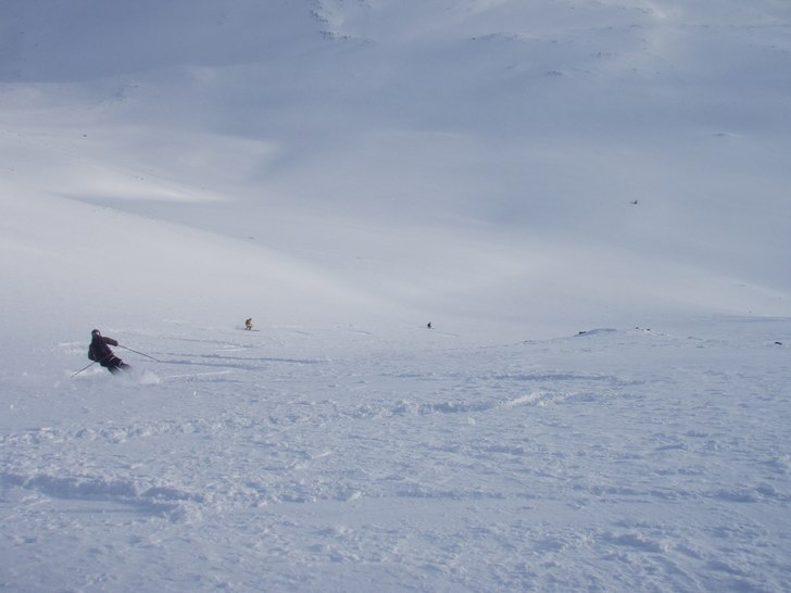Foto: Anders Lundin. Åkare: Staffan Syk, Ingvar Syk, Claes Forssell.