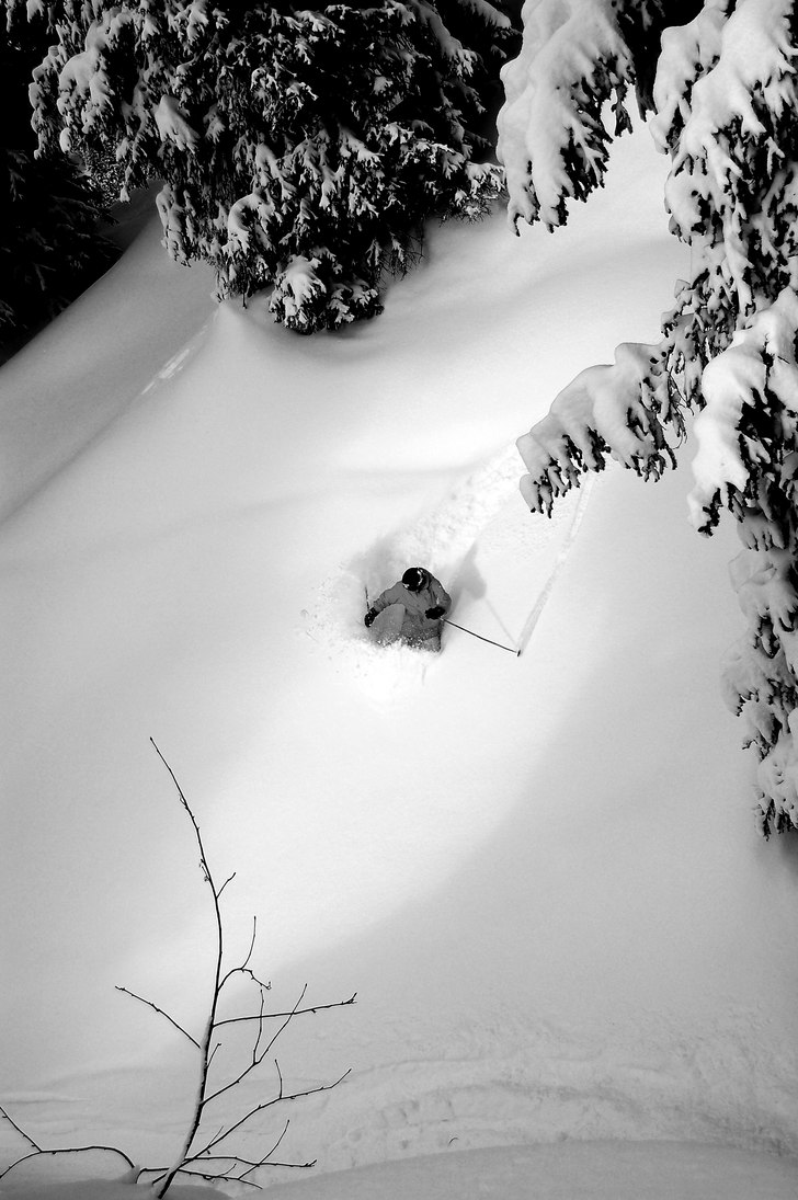 Skogsåkning i Stuben. Foto: Kim Svanström. Åkare: Simon Jarlén.