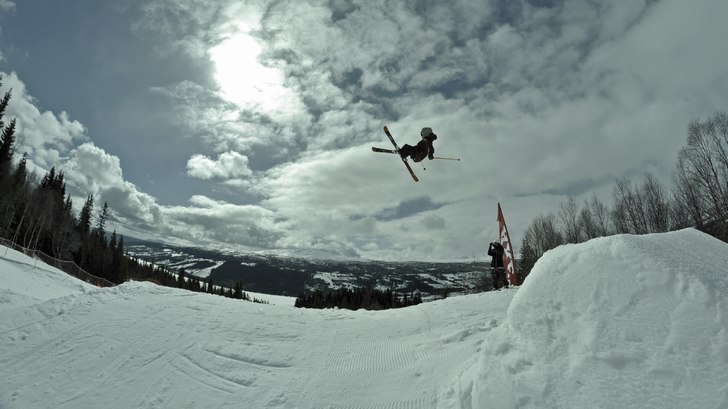 Bräcke. Foto: Max Larsson (Jag).