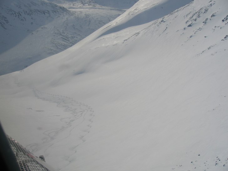 Fin repa i Abiskoalperna.. Foto: Puder Luder Nr1. Åkare: Fyra.